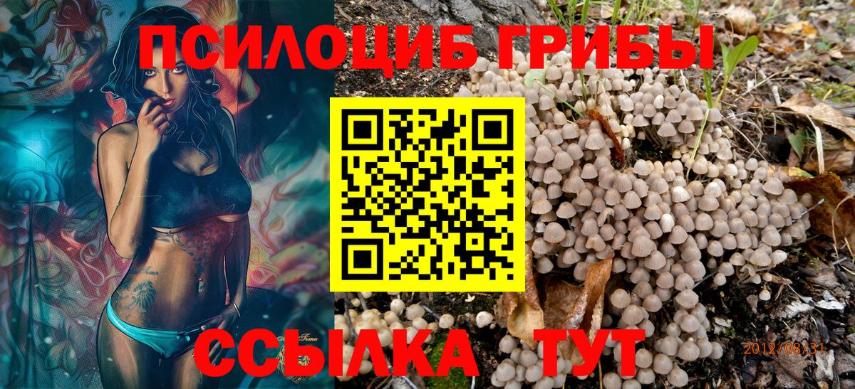Галлюциногенные грибы Magic Shrooms  Псилоцибиновые грибы прущие грибы  Вход с VPN  Кудымкар 